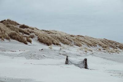 雪域